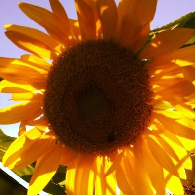 RhodesRuka's profile picture. 