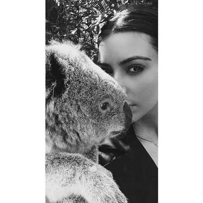 Kardashian,Jenner,Disick,West - NEWS