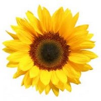 Clarborough School (@clarboroughps) 's Twitter Profile