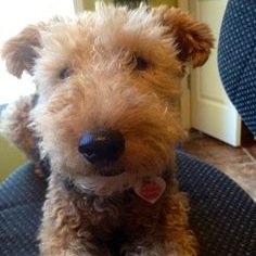 itchymcguirk's profile picture. 