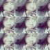Tazniaptri (@tazniaptri) Twitter profile photo