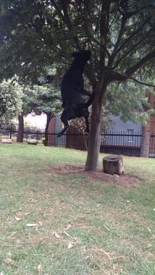 davortizo's profile picture. 