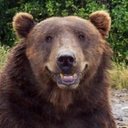 Taylor Cullen - @txullen41 - Twitter