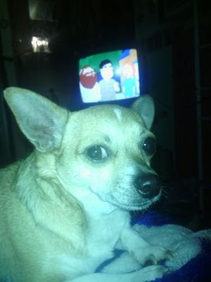 AnnagayleB's profile picture. 