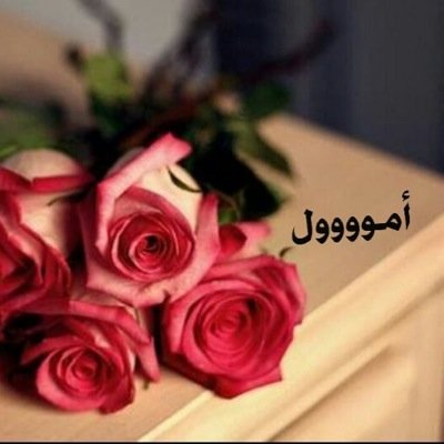 لا اله الا انت سبحانك اني كنت من الظالمين