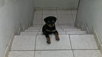 SEGURIDAD ANTE TODO