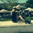 RouxSuzelle's profile image