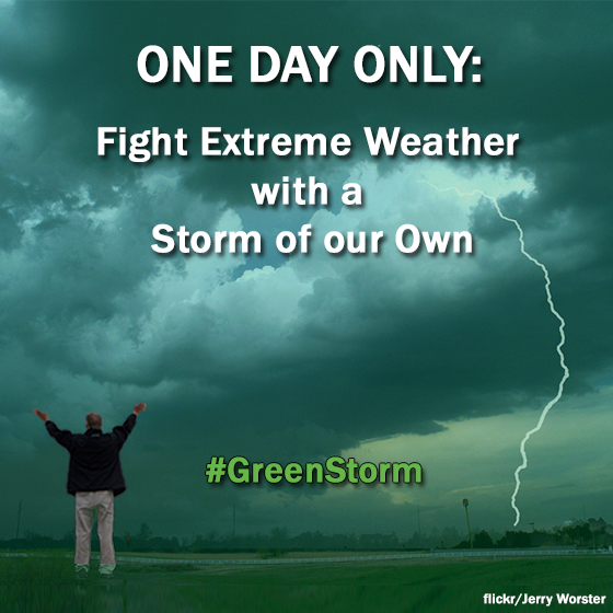 greenstorm917's profile picture. 