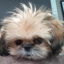 Joel Knapp - @Kaliwa - Twitter