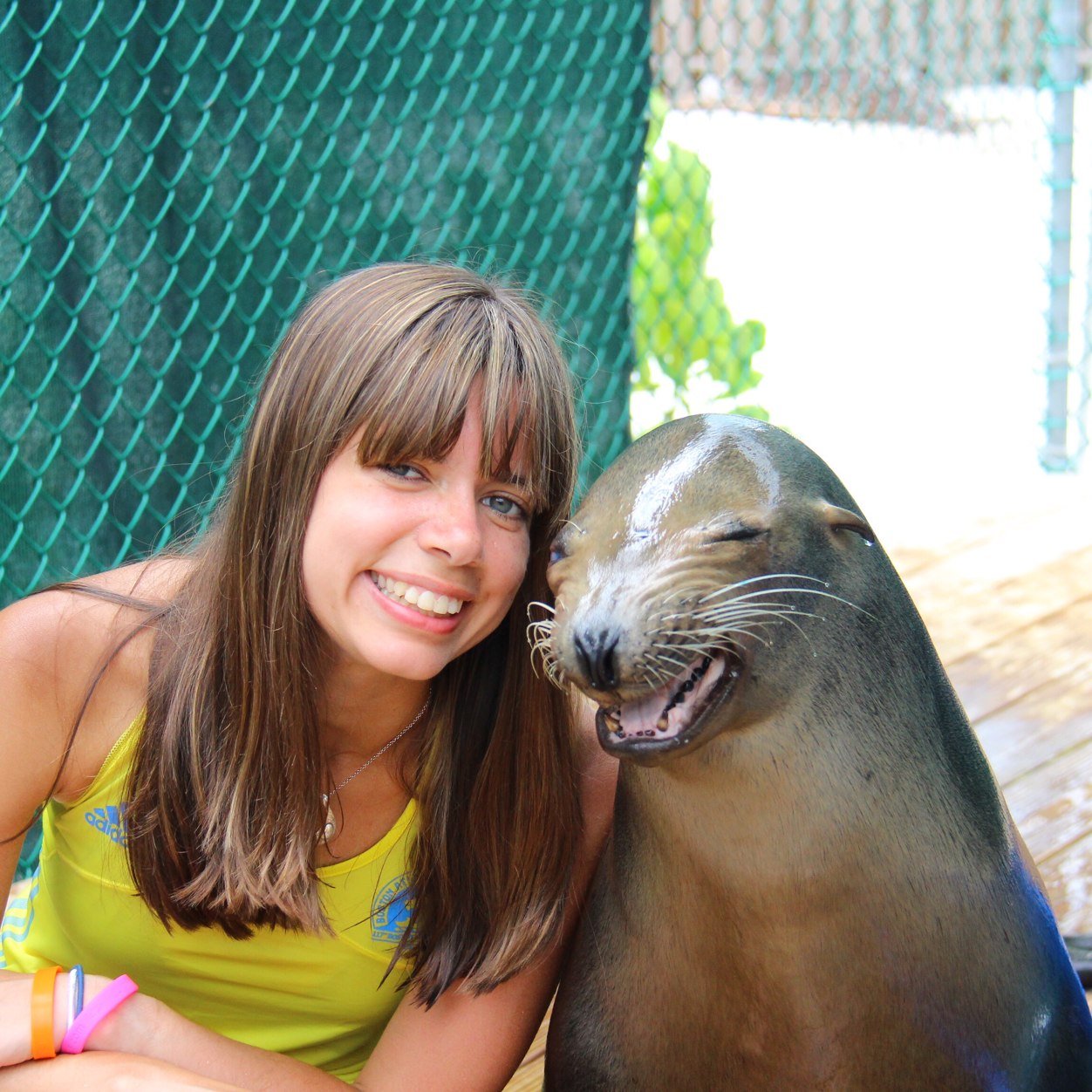 runningseal's profile picture. 