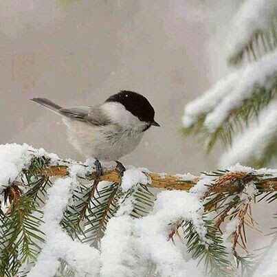‏اللهم استرني فوق الارض وتحت الارض ويوم العرض ♥