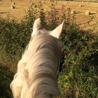 Sara Harper-Andic (@harper_sara) 's Twitter Profile Photo Sara Harper-Andic (@harper_sara) 's Twitter Profile Photo