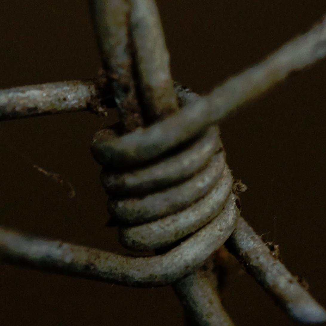 V0LGEN's profile picture. FoLLoW THe LeaDeR