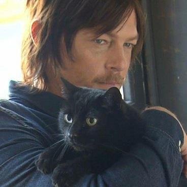 ThanksNormanRT's profile picture. Please RT, FAV, quote https://t.co/OEHPUnMV6b or tweet with link&tag #ThanksNormanProject to show how much we ❤ @wwwbigbaldhead