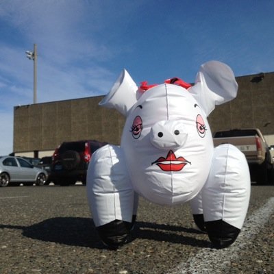 I'm Lola and I am the sexiest pig around, I'm always looking for a good time ;)