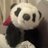 MissPickle1309's profile image