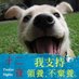 國賊討伐-巴那姆湖的帶路人 (@funnyfaceyang) Twitter profile photo 國賊討伐-巴那姆湖的帶路人 (@funnyfaceyang) Twitter profile photo
