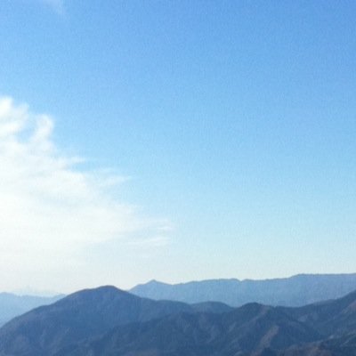 aoinowoaruku's profile picture. 