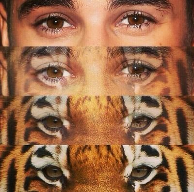 Fandoms e Frases「」 https://t.co/cQHrUcf9Iy 「」Que a felicidade, invada nossas vidas...