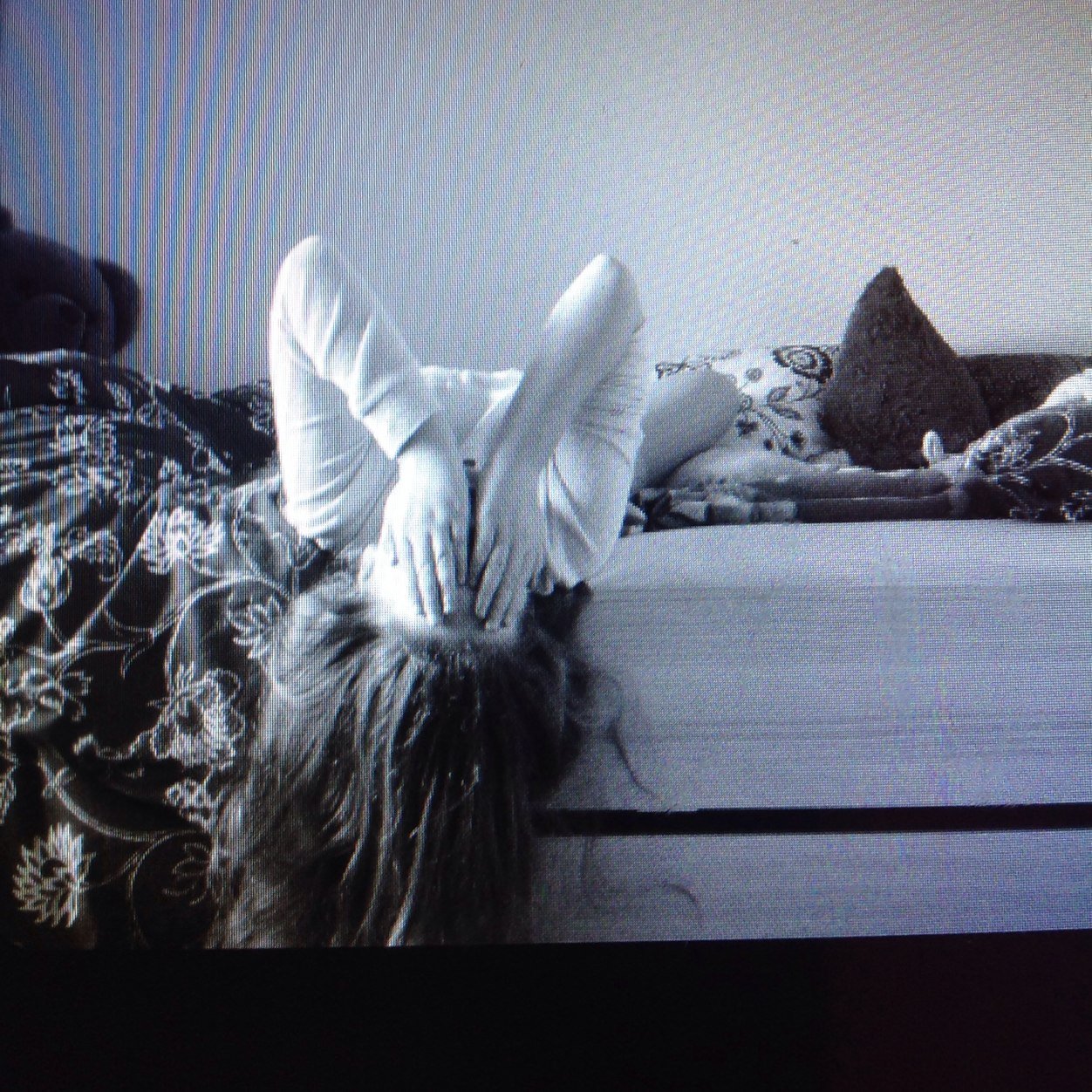 EvaLitters's profile picture. 