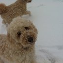 Don Dobson - @DD536 - Twitter