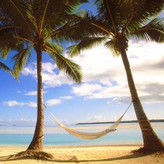 tedeagan's profile picture. 