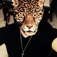 the Rock Scort (@knkonig) 's Twitter Profile