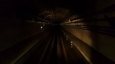 IamBlueBlood's profile picture. 