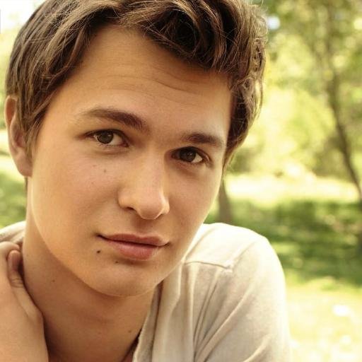 dlitel1's profile picture. 18, dom gay, werewolf looking for my mate, alpha of my pack.