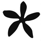 HotMamasAustin's profile picture. Love With A Side Of Coffee....