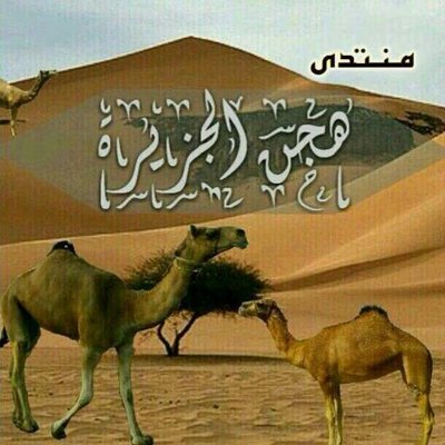 @hjn_aljzerh