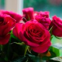 Elle Porter - @PorterElle - Twitter