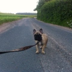 orszulan's profile picture. 