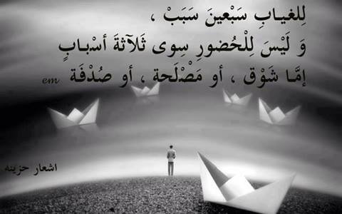 nouralya9ine's profile picture. 