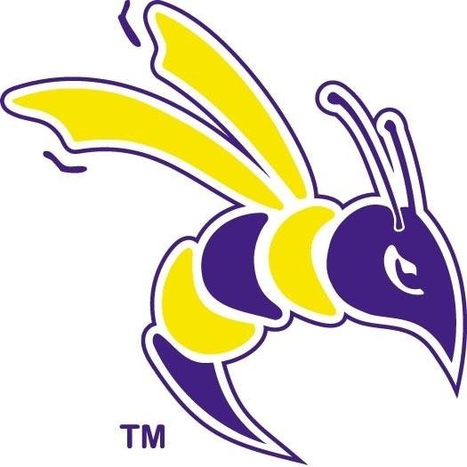 DCPurpleandGold's profile picture. 