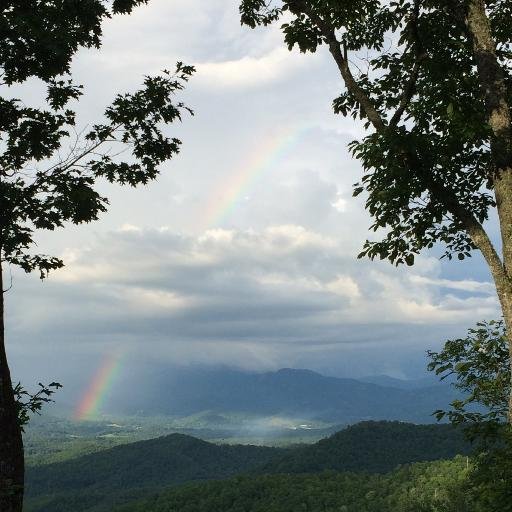 lorie_brodowicz's profile picture. 