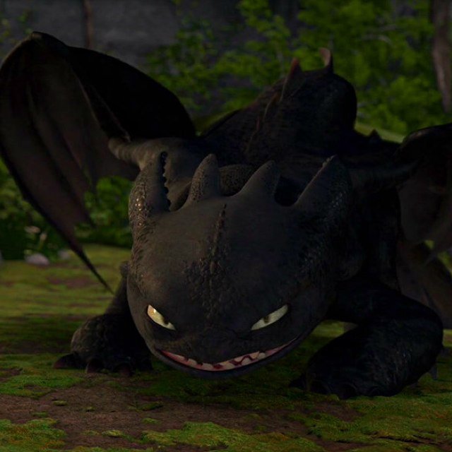 I'm a wild Nightfury dragon. I was shot down by a nasty human. Now I'm stuck in a cove and missing a tailfin! I hate humans…they're scary.