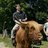 Profile Picture of Niels Lesniewski (@@nielslesniewski) on Twitter