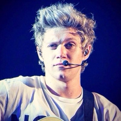FOLLOW @njhestru FOR DMS TO NIALL ZAYN AND LIAM :)