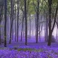 Flo (@floella007) 's Twitter Profile