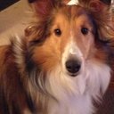 Vanessa Oakes - @nessodess71 - Twitter