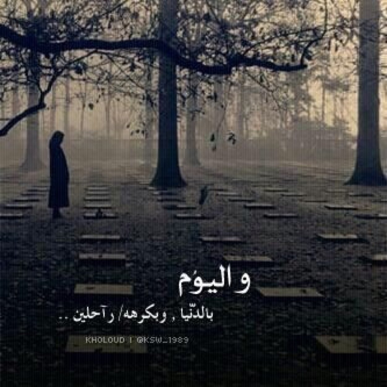 لااله الا الله محمد رسول الله ٠٠٠!