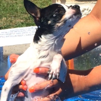 hermes_diegues's profile picture. 