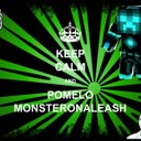 Pomelomonsteronaleas (@11Erickrex) Twitter