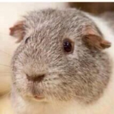 dan8471's profile picture. 