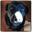 Sean Herring - @Seanh10 - Twitter