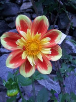 ferre_riu's profile picture. 