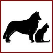 WillistonParkAH's profile picture. At Williston Park Animal Hospital we provide traditional veterinary care & offer holistic options. We take the time to get to know you your pet!