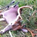 Wyatt Nelson - @duckcammanderw1 - Twitter