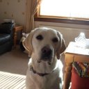 ALISON WATT - @ALISONWATT3 - Twitter